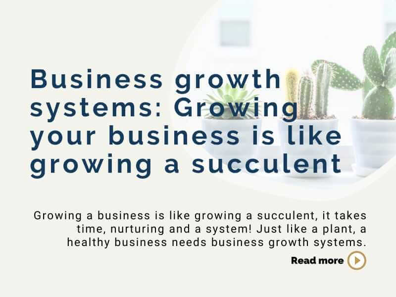 business growth systems REAVA Solutions, VA & OBM services, Melbourne